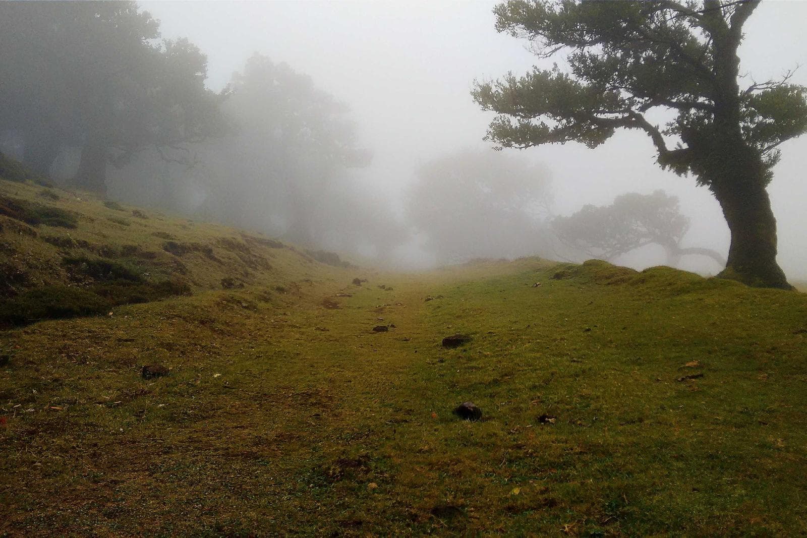 Nurata–Aydarkul